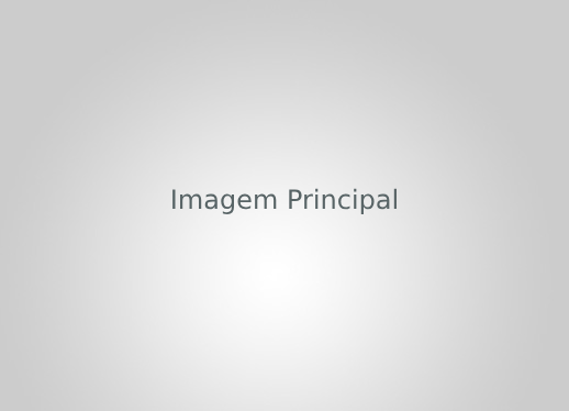 Mola Hidráulica Aérea F4/F5 - até 100kg Prata - MHA 508